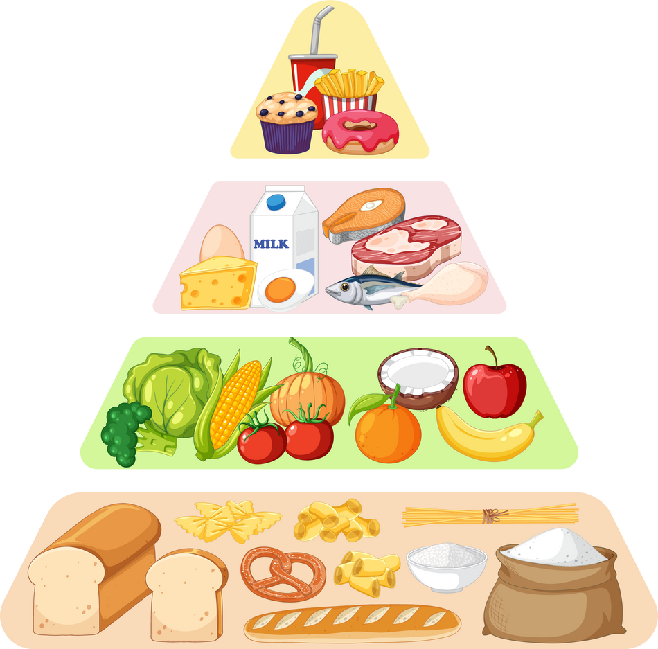 Food Pyramid Nutrition Groups 