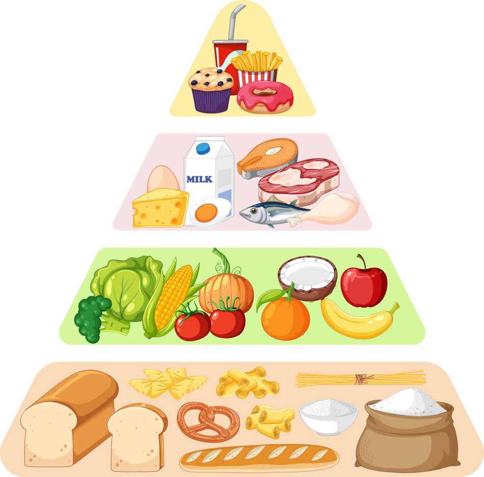 Food Pyramid Nutrition Groups 